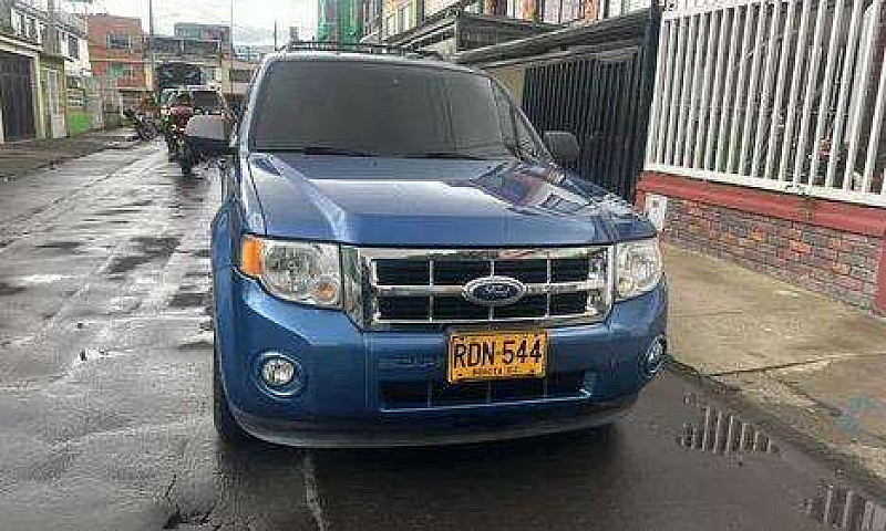 Ford Escape 2010 Seg...