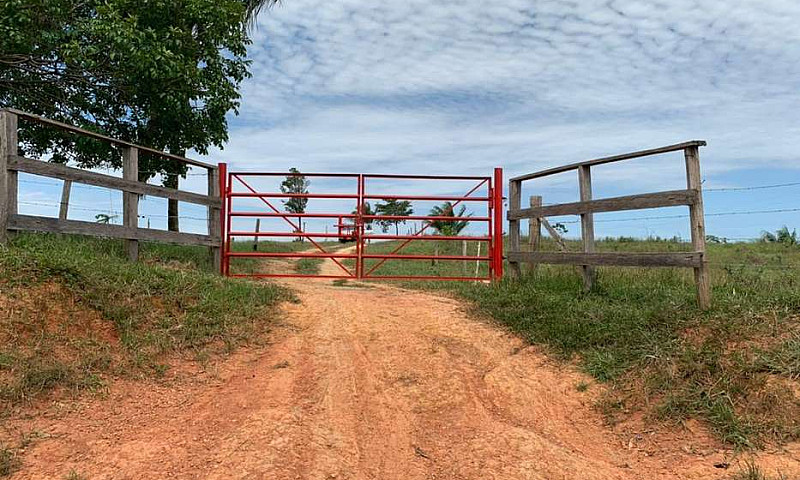Se Vende Finca En Pt...