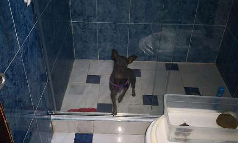 Vendo Hermosa Casa...