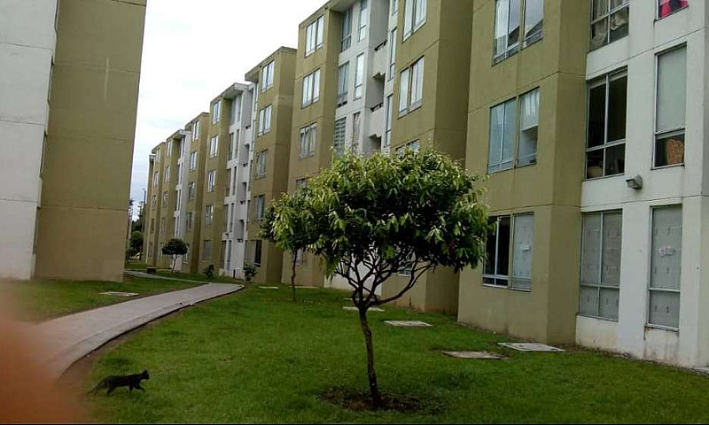 Apartamento Amoblado...
