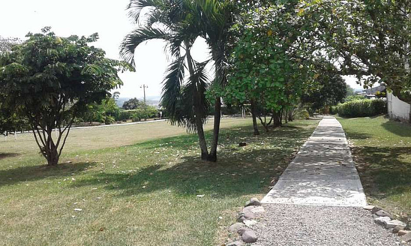 Venta Apartamento...