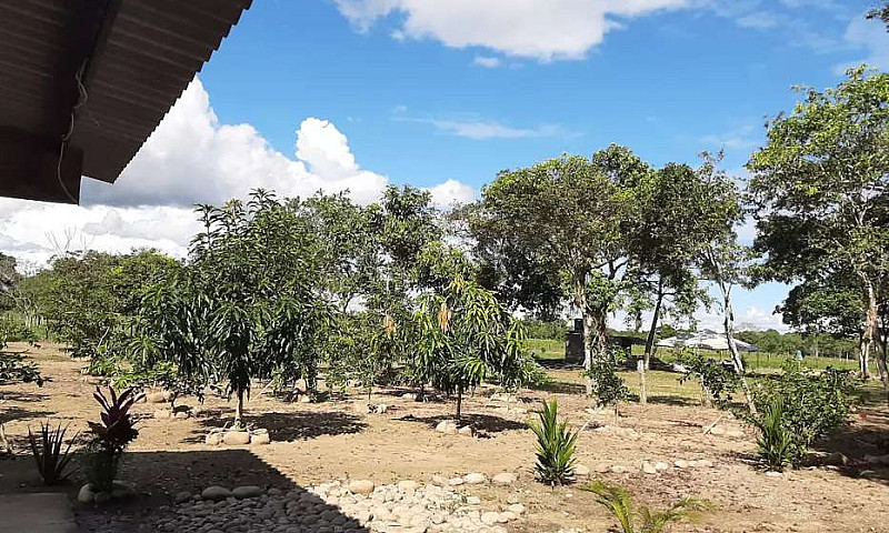 Vendo Finca Agroturi...