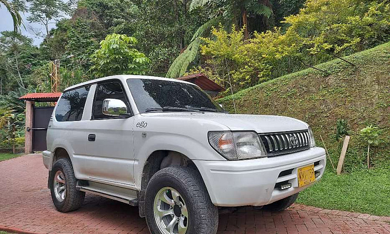 Prado Sumo 2003 Full...