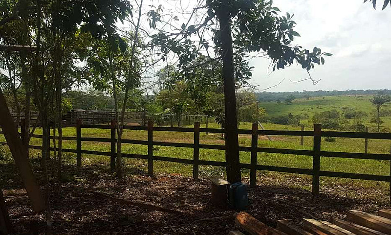 Vendo Finca A 1 Hora...