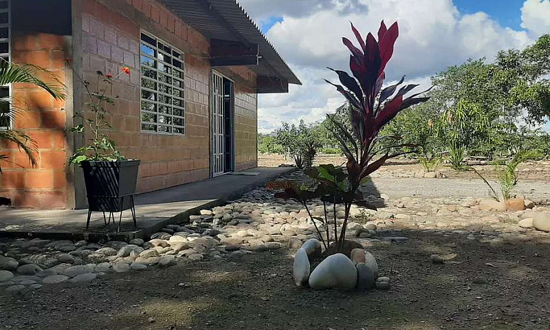 Vendo Finca Agroturi...