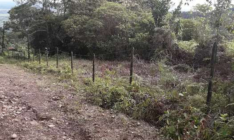 Vendo O Permuto Lote...