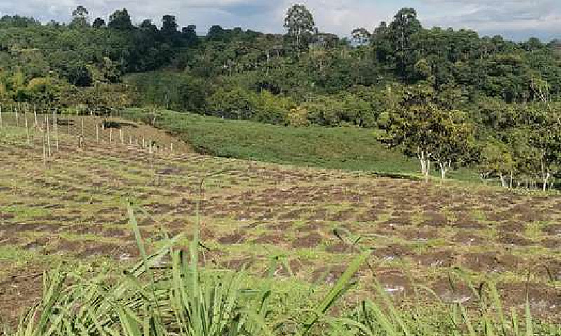 Vendo Linda Finca...