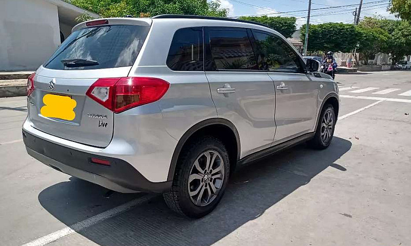 Suzuki Live 4*2-2019...