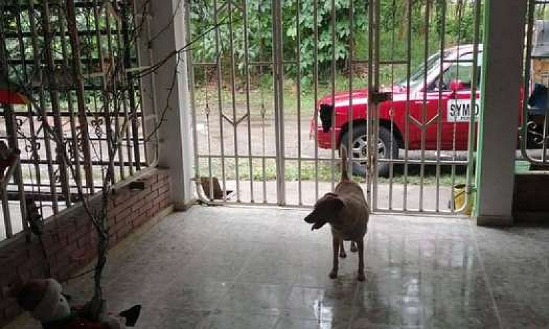 Venta Casa Barrio Sa...