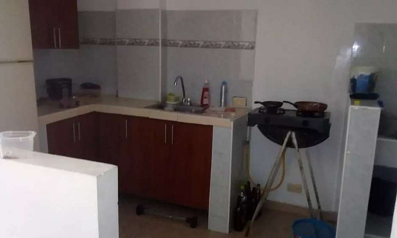 Se Comparte Apto En ...