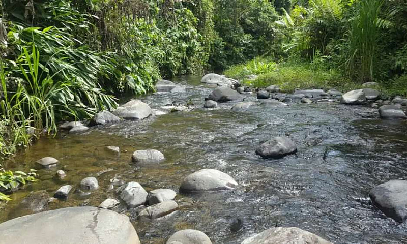 Hermosa Finca...