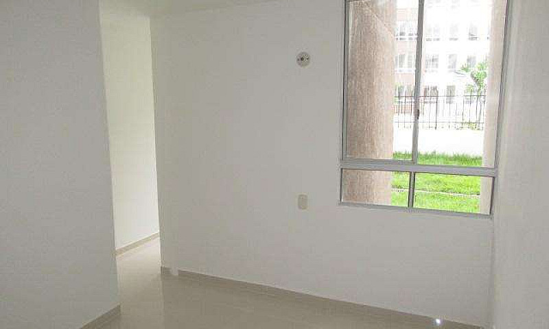 Amarilo Conjunto Ara...