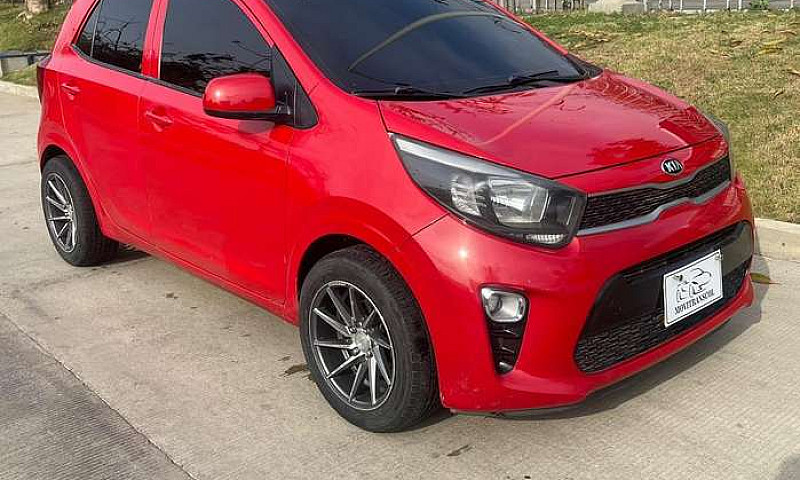 Kia Picanto Vibrant ...