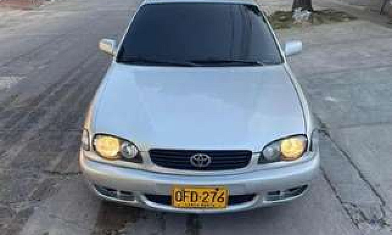 Toyota Corolla...