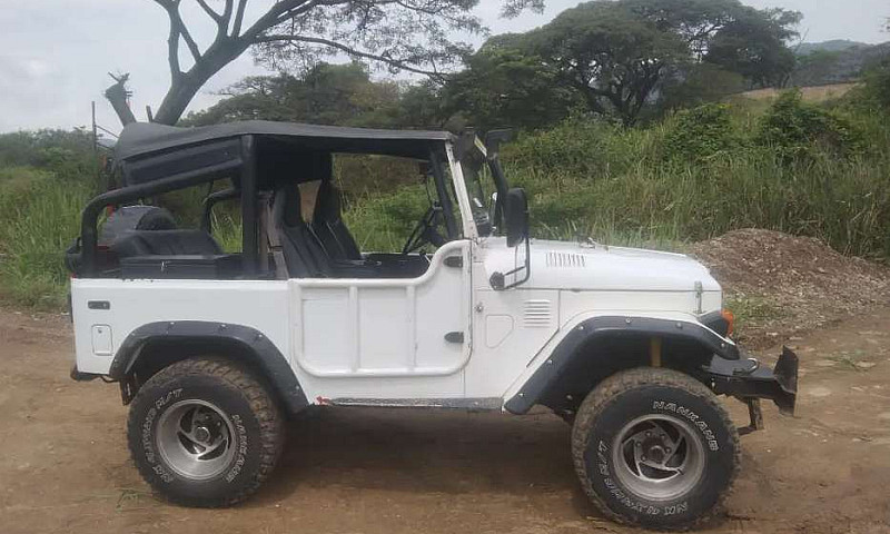 Vendo Toyota Fj40, M...