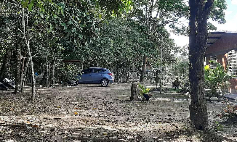 Vendo Finca Agroturi...