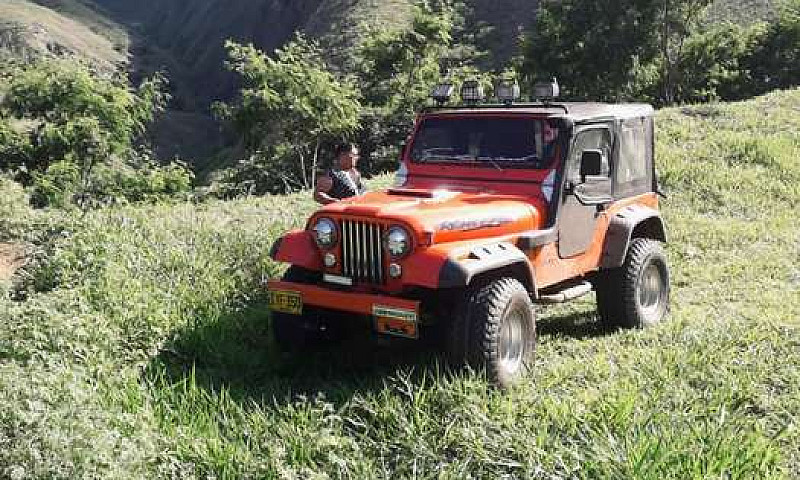 Vendo Jeep-Willys...