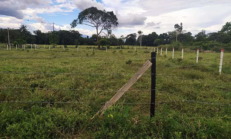 Lote De 1.292 Metros...