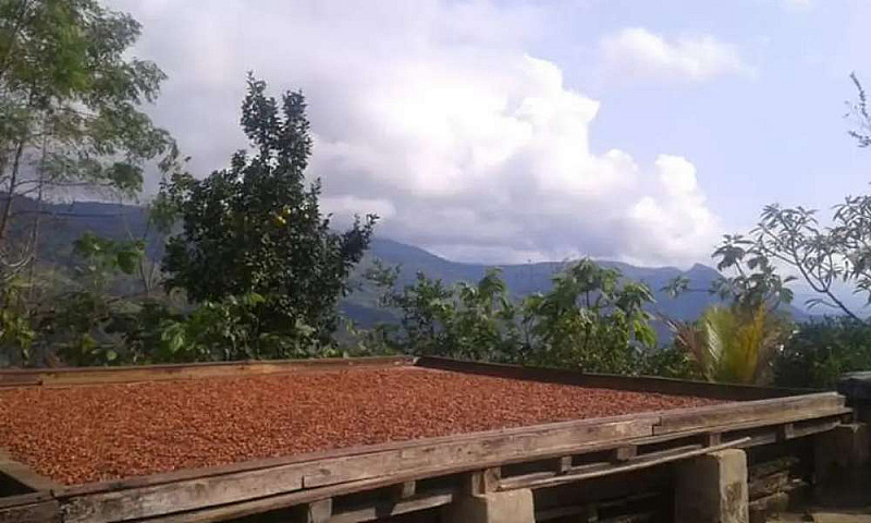 Venta Finca Chocolat...