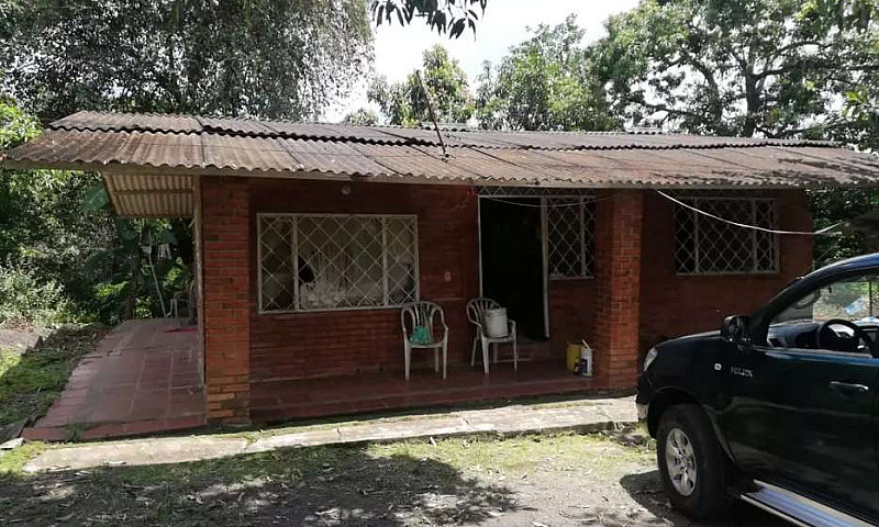 Vendo Permuto Finca ...