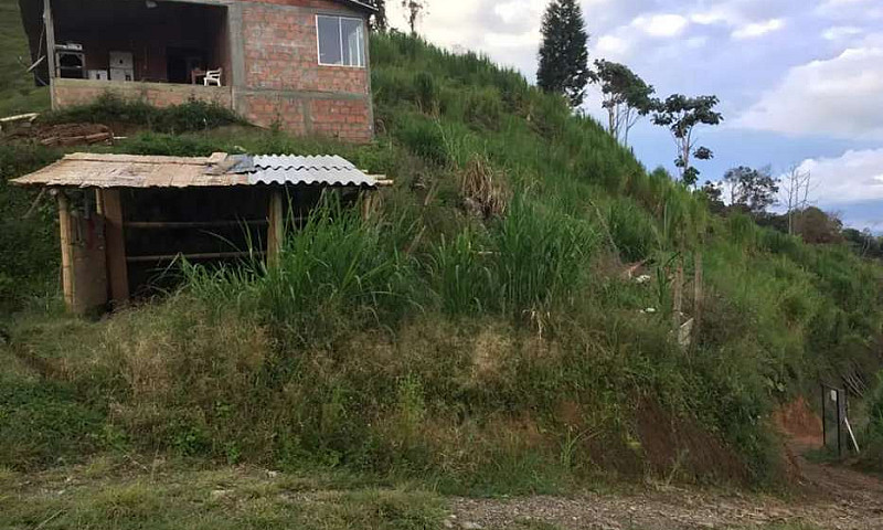 Vendo Finca Con Agua...