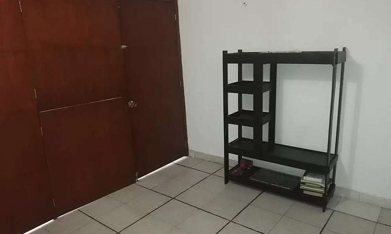Habitación En La Alb...