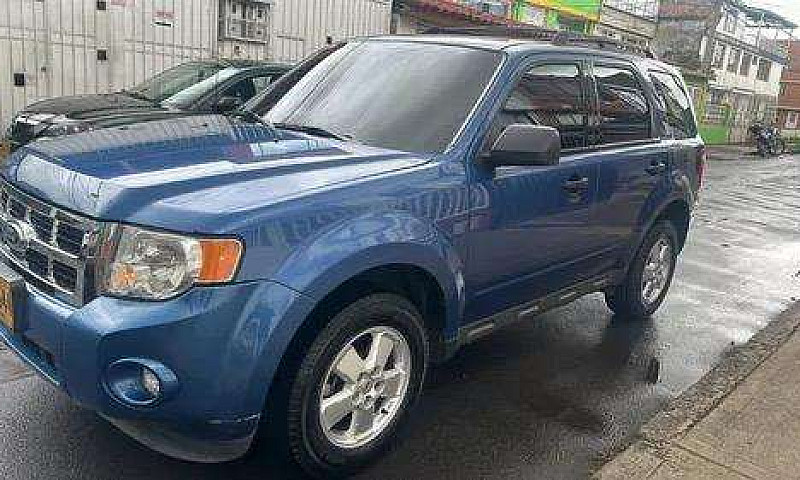 Ford Escape 2010 Seg...