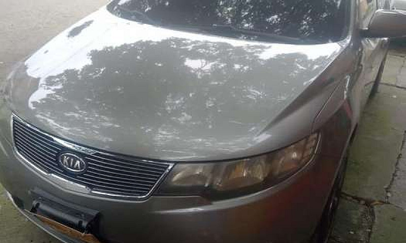 Cerato Forte Hermoso...