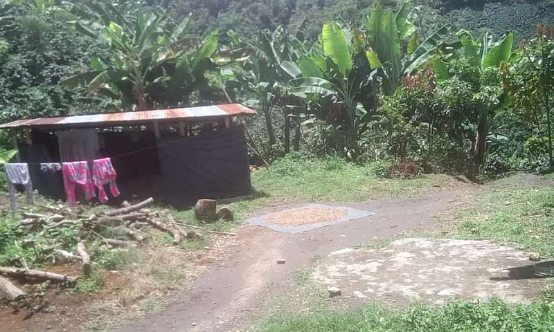 Finca, 5 Cuadras, Po...