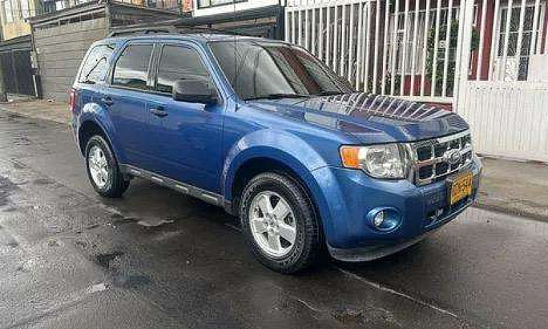 Ford Escape 2010 Seg...