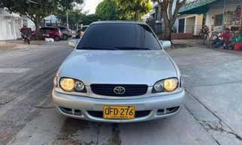 Toyota Corolla...
