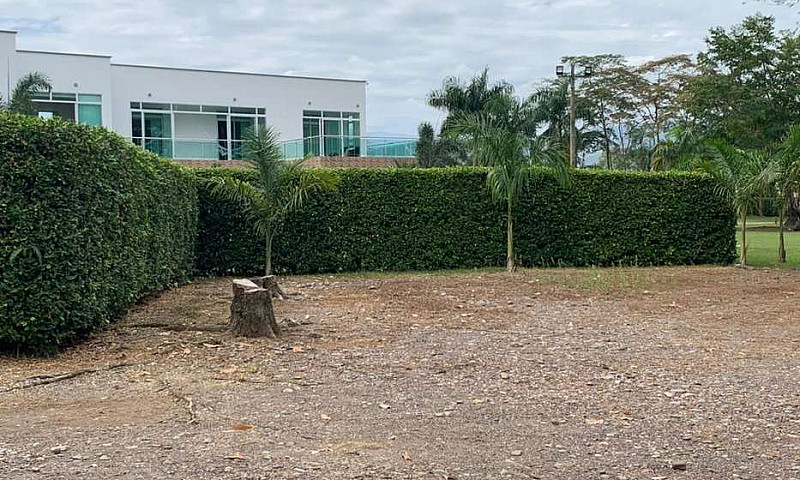 Vendo Casa Quinta Vi...