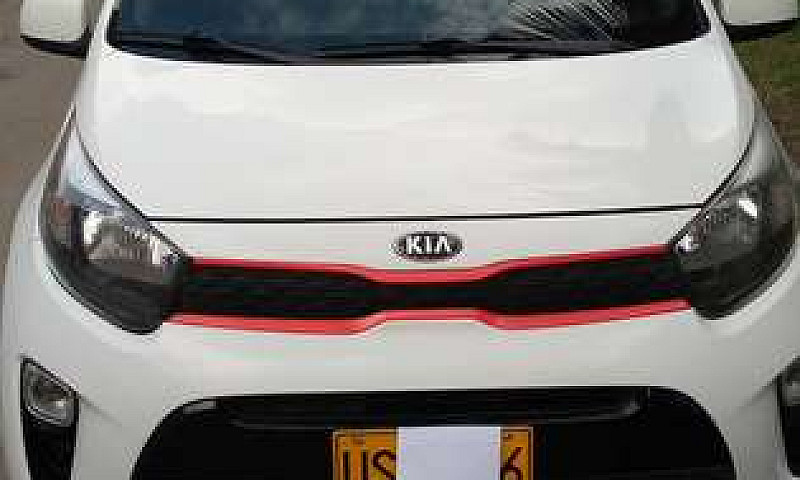Kia Picanto Blanco 2...