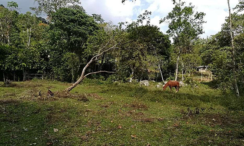 Se Vende Finca O Se ...