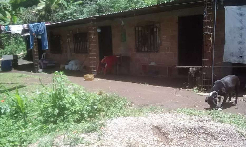 Finca, 5 Cuadras, Po...