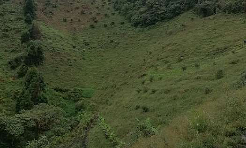 Vendo Finca Con Agua...