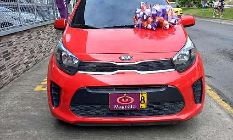 Kia Picanto Vibrant ...