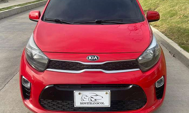 Kia Picanto Vibrant ...