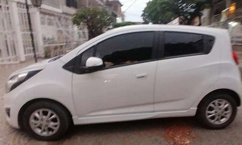 Lindo Spart Gt 2018...