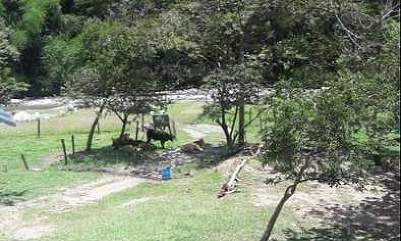 Vendo Hermosa Finca ...