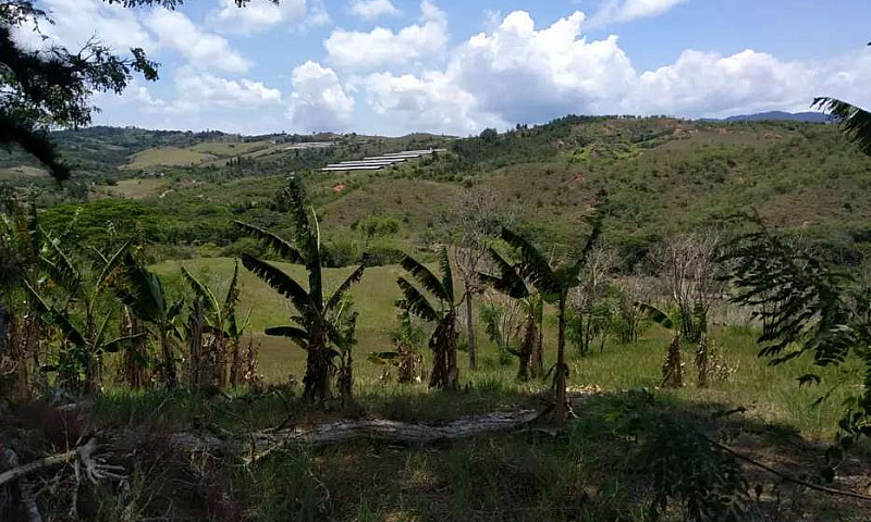 Lotes Para Finca En ...