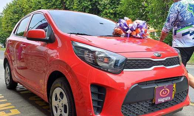 Kia Picanto Vibrant ...