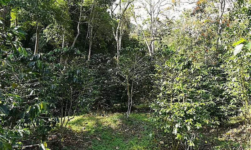 Se Vende Finca O Se ...