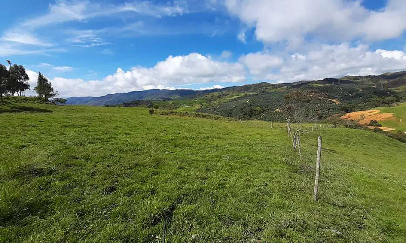 Venta De Lotes En Sa...