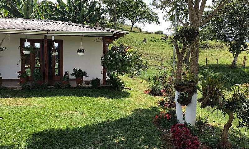 Vende Permuta Finca ...