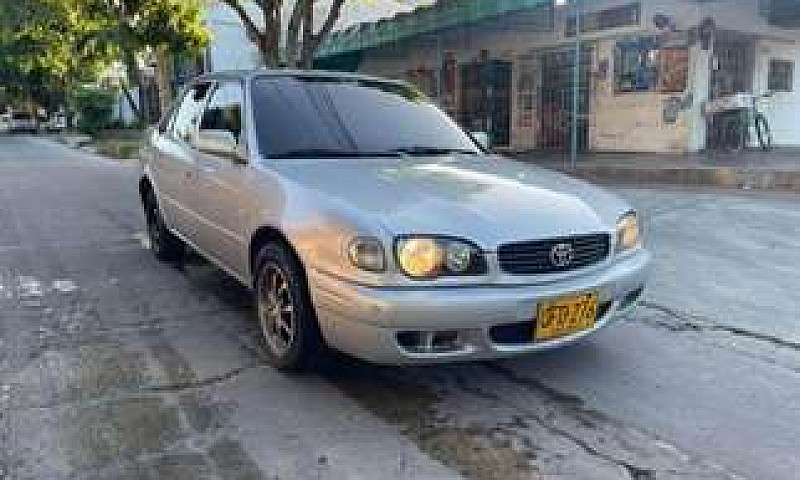 Toyota Corolla...