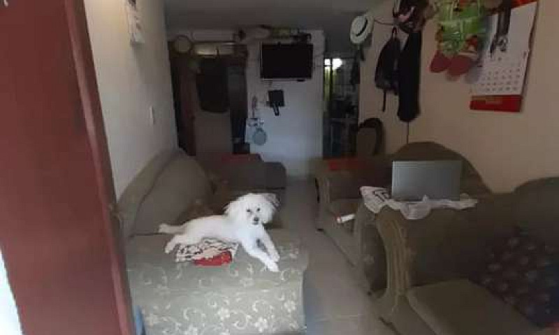 Excelente Casa En La...
