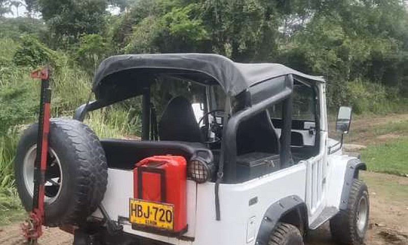 Vendo Toyota Fj40, M...