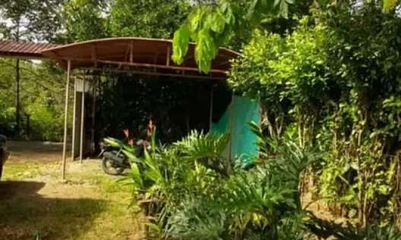 Lote Campestre...