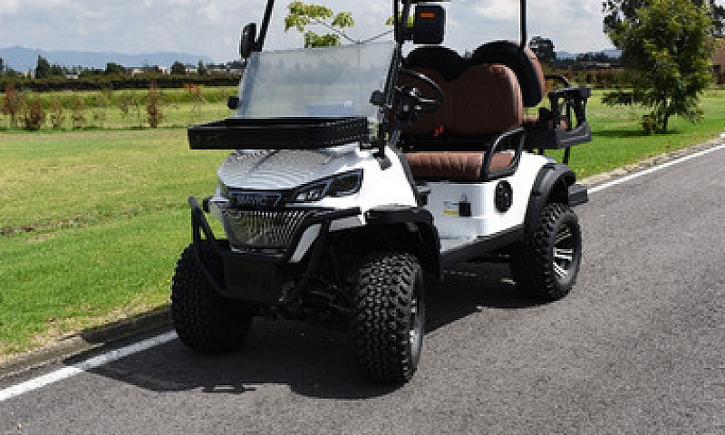 Carrito De Golf Mavi...